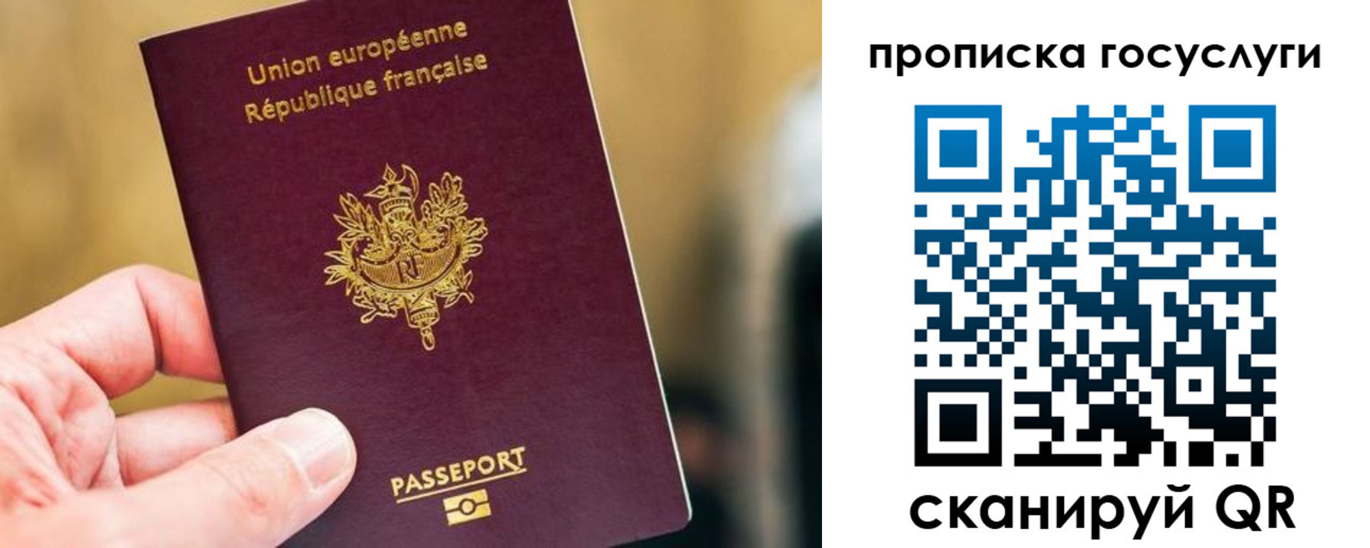 временная регистрация поиск в Полярном